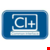 Common-Interface (CI+)